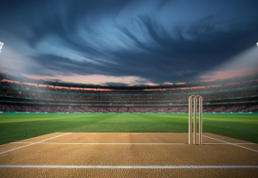 Cricket Ground Construction